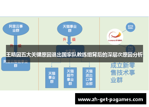 王皓因五大关键原因退出国家队教练组背后的深层次原因分析 王皓因五大关键原因退出国家队教练组背后的深层次原因分析