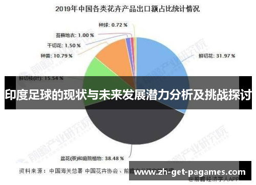 印度足球的现状与未来发展潜力分析及挑战探讨